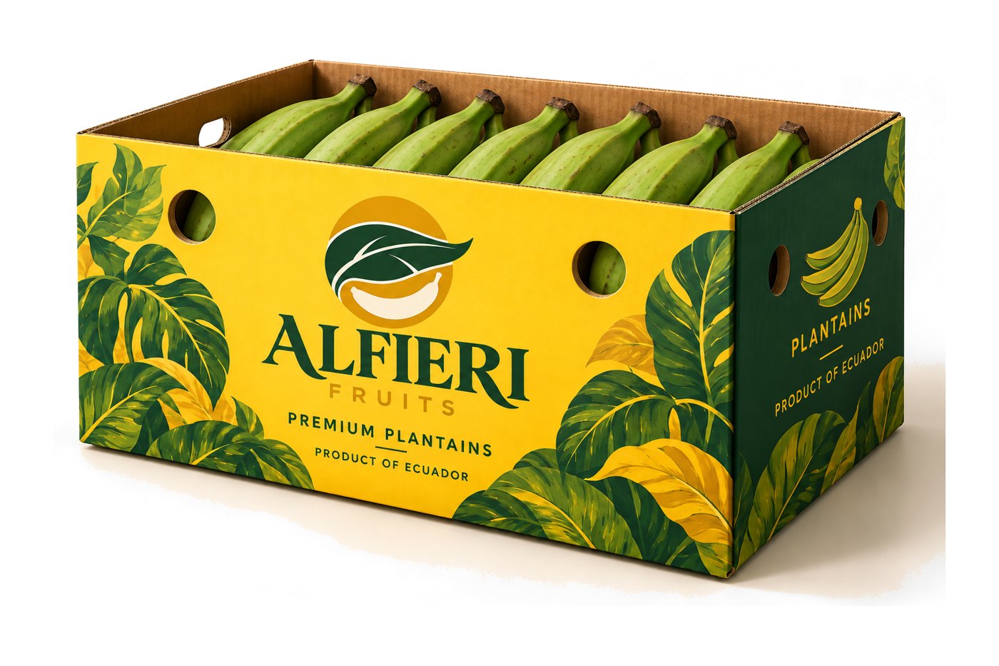 Alfieri Fruits plantain carton, Product of Ecuador