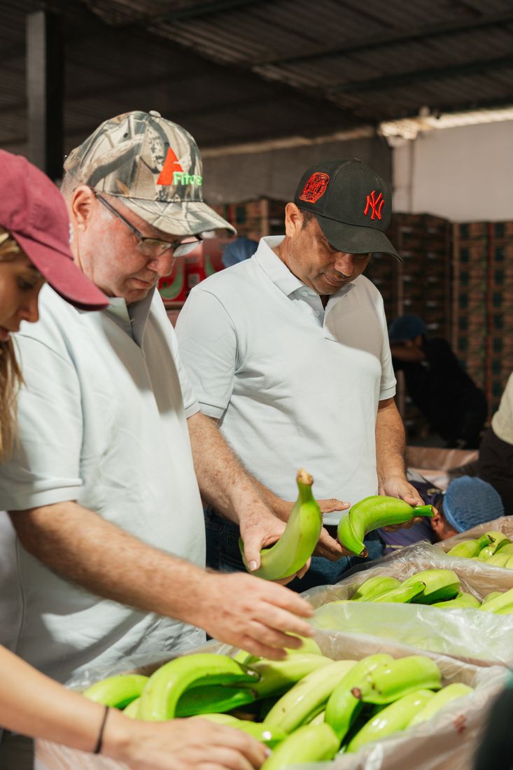 Our team checking fruit quality